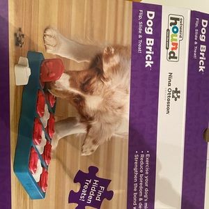Pets puzzles great for training brand new
